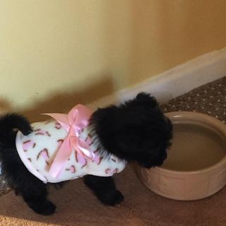 Valerie Taylor's avatar