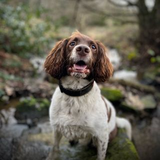 Robert Daley's avatar