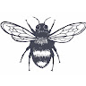 Rachel Carter's avatar