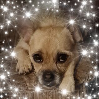 Shelley Warner's avatar