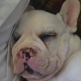 Paul Bradley's avatar