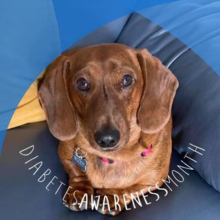 Barry Christopher Ryan's avatar