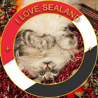 Miranda Jane's avatar