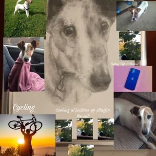 Esther Lartey-Dancey's avatar