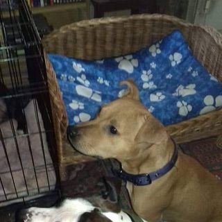 Julia Thompson's avatar