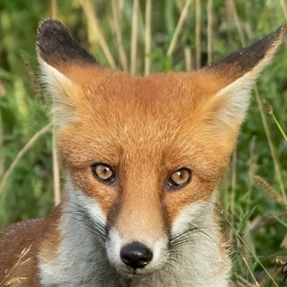 Mike Glasson's avatar