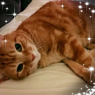 Vicki Slater's avatar