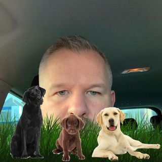 Greer Parkinson's avatar