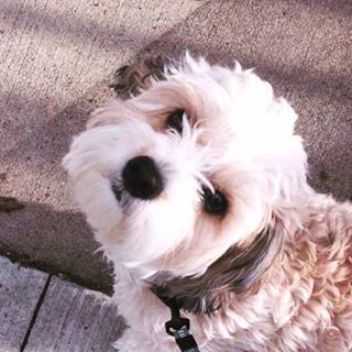 Roxy Scott's avatar