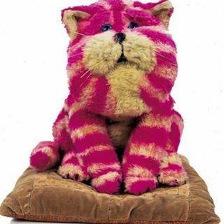 Nicola Neale's avatar