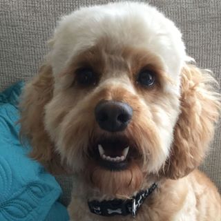 Tricia Sarginson's avatar