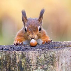 Joanne Lynn's avatar