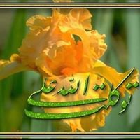 Mohammad Makram's avatar