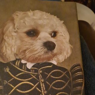 Vicky Johnson's avatar