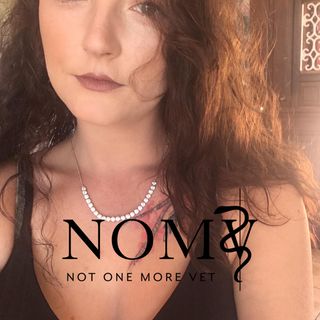 Lauren Bolton's avatar