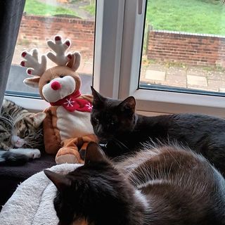 Annette Stoakes's avatar