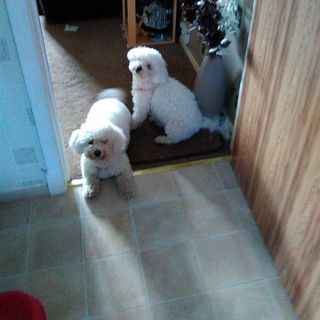 Jean Dempster's avatar