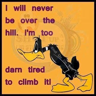 Sarah Green's avatar