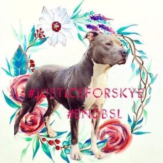 Clare Lawie's avatar