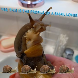 Leannah Worman's avatar