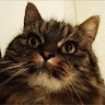 melissa hubbard's avatar