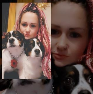 Rachael Joynes's avatar