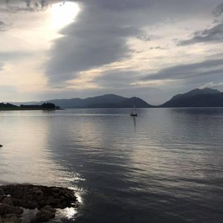 Adrian Griffin's avatar