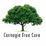 Scott Carnegie's avatar