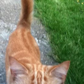 Jerry Pulford's avatar