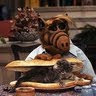 Onur Dincer's avatar
