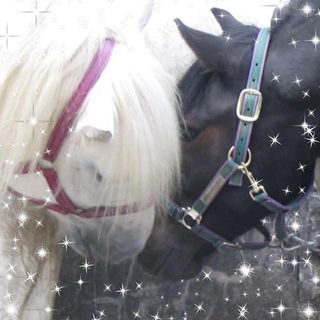 Michelle Parkin Vaughan's avatar