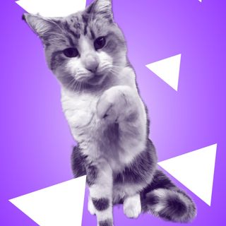 Sharon Moyle's avatar