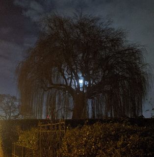 Saskia Spectre's avatar