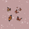 Sameera G's avatar