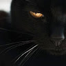 Anonymous's avatar