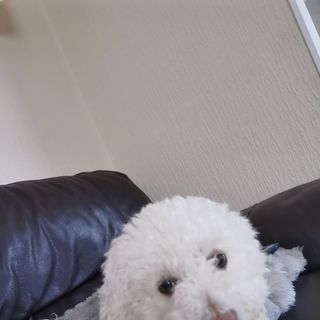 Jean Craske's avatar