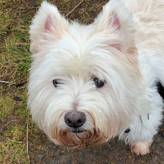 Betty Scott's avatar