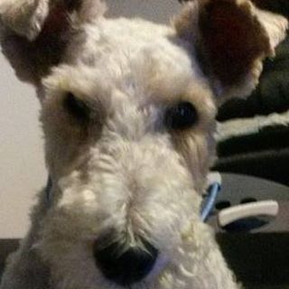 Karen Whiteley's avatar