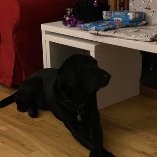 Mark Gladwyn's avatar