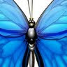 Monica Stroud's avatar