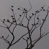 The Tree of Life's avatar