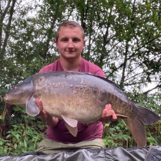 Joshua Stepp's avatar