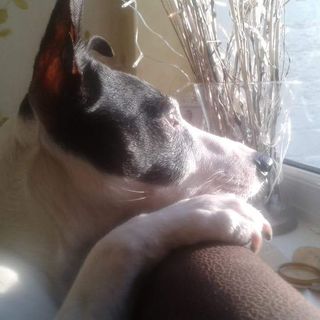 Jack Mussell's avatar