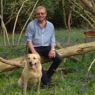 Jeremy Mullis's avatar