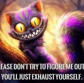 Jan Fletcher's avatar