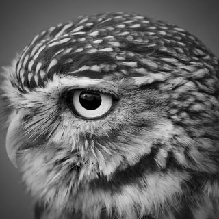 Christine Cilia la Corte's avatar