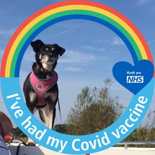 Suzan Simmons's avatar