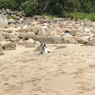 Rich N Jo Savage's avatar