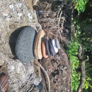 Bobbi Munro's avatar