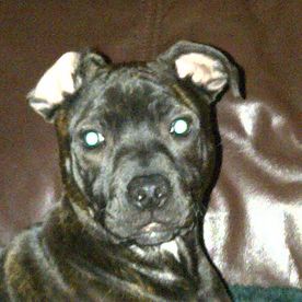 Elaine Taylor's avatar